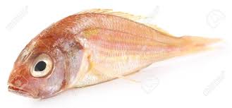 PUA  FISH 500GM