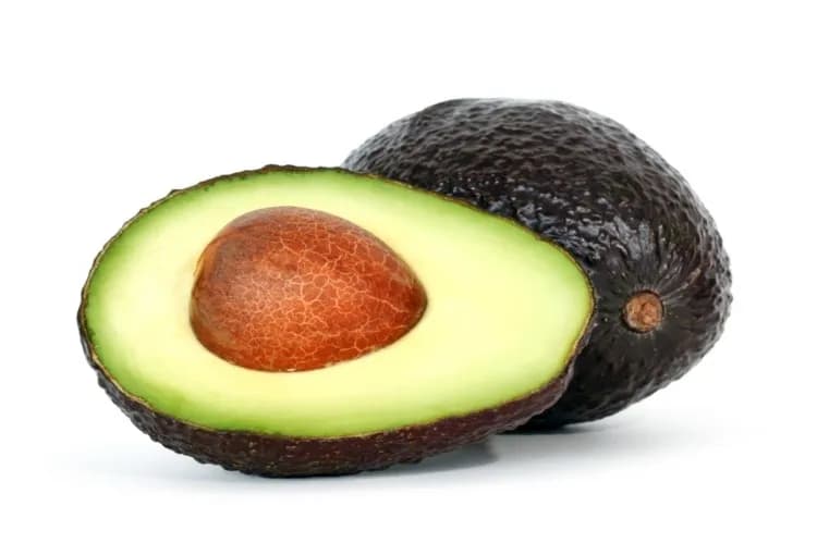 Avacado Mexican