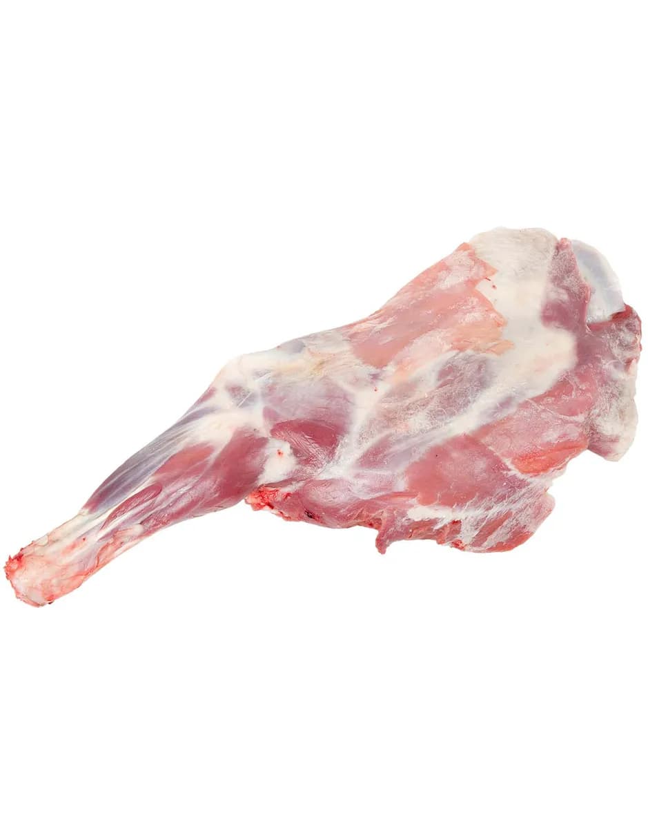 Baby Goat Back Leg