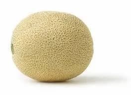 Cantalope