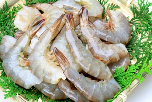 Easy Peel Shrimp