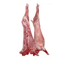Fresh Baby Goat Meat