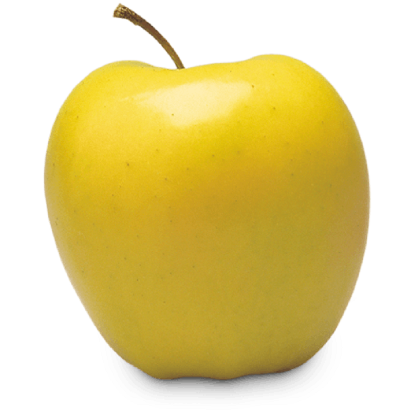Apple (Golden)