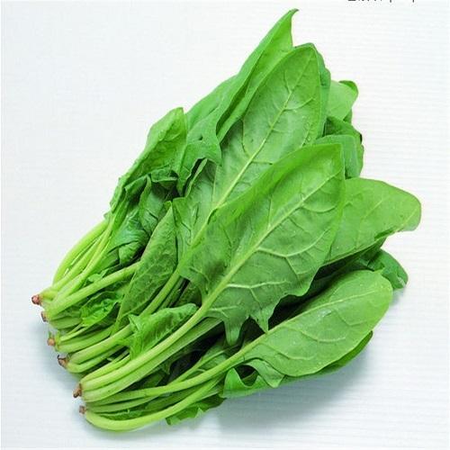 GREEN SPINACH