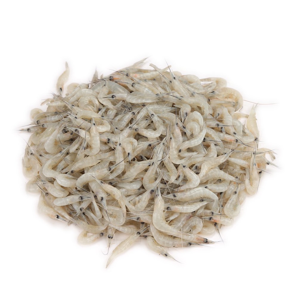 Shahjalal Gura Icha 250g