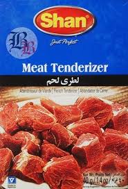 Shan Meat Tenderizer (40 GM)