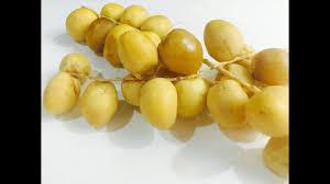 Yellow Raw Dates