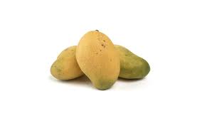 Mango (haiti)
