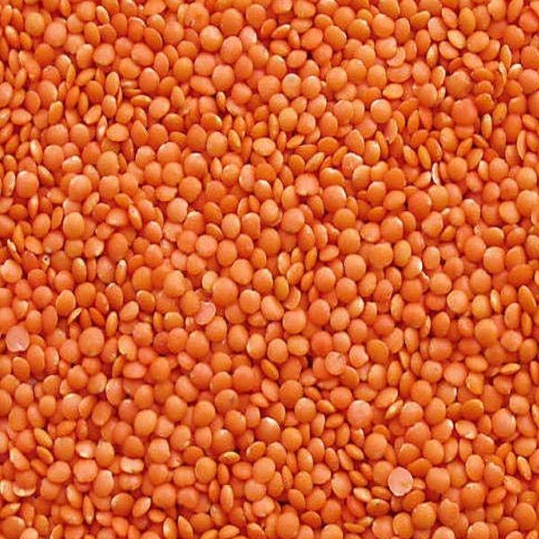 Zara Foods Masoor Dal
