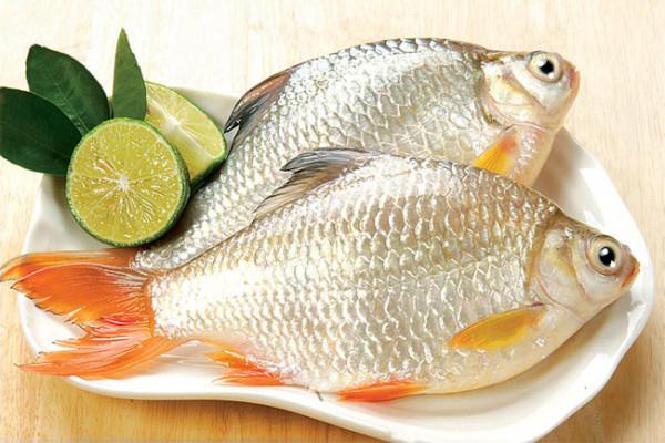 Rani Puthi Fish